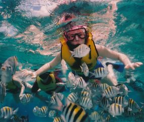Go Snorkeling Ocean Lake Fish Recreation Ideas
